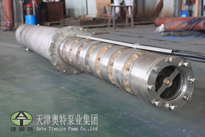 福建大功率不銹鋼潛水泵品牌_海洋石油平臺用潛水泵廠家_海水養殖用潛水泵原始圖片2