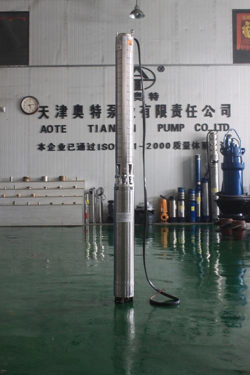 耐腐蝕潛水泵制造商_大流量不銹鋼潛水泵品牌_天津大功率海水潛水泵優(yōu)勢_雙相鋼潛水泵原始圖片2