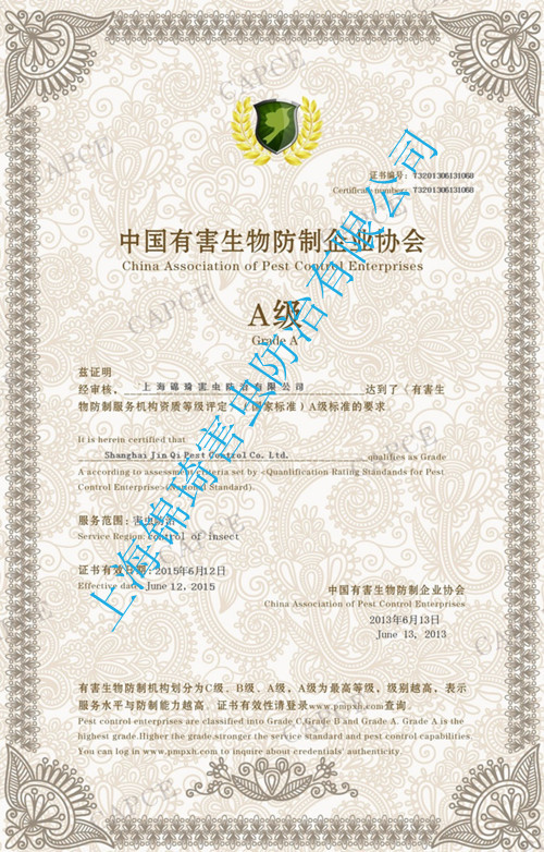川沙滅白蟻公司-專業(yè)殺白蟻-上海白蟻防治-上海除白蟻-預(yù)防白螞蟻