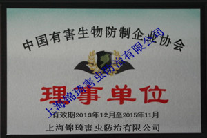 上海滅白蟻-預防白蟻-嘉定殺白蟻公司-專業除白蟻-上海白蟻防治
