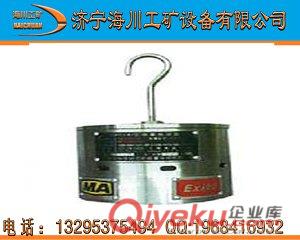 GTH1000一氧化碳傳感器