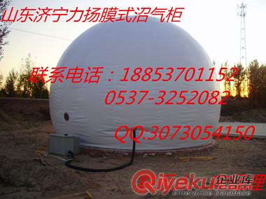 廣東雙膜氣柜原始圖片2