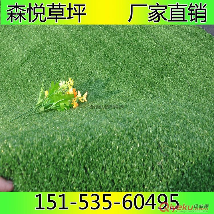 森悅?cè)嗽觳萜?，高端產(chǎn)品質(zhì)量好，鋪裝施工服務(wù)好原始圖片2