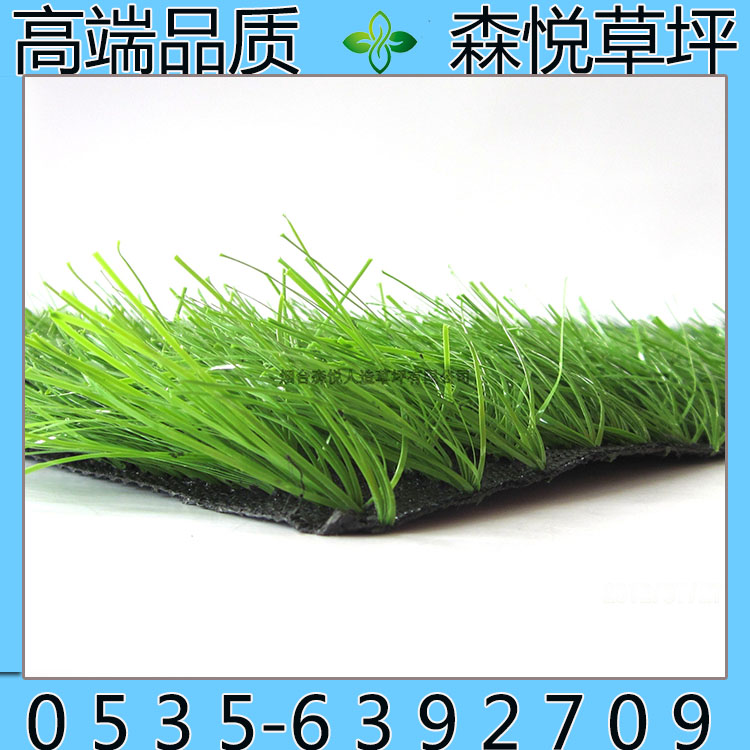 山東人造草坪_淄博標準專業足球草足球場人造草大量廠家供應原始圖片2