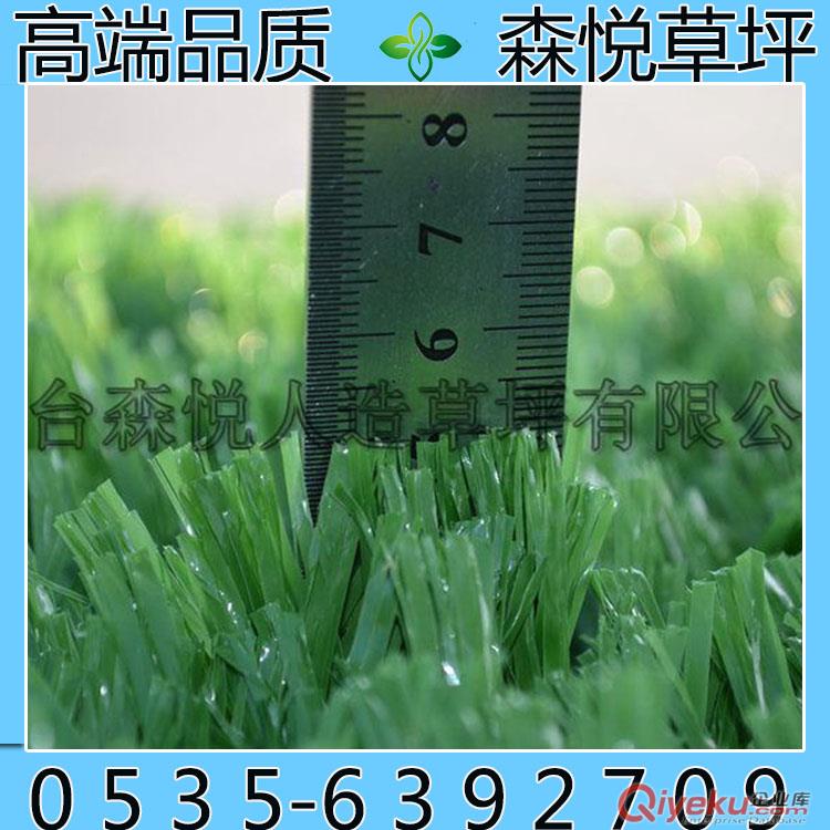 煙臺人造草坪誠邀代理商加盟-青島人造草坪-威海草坪代理