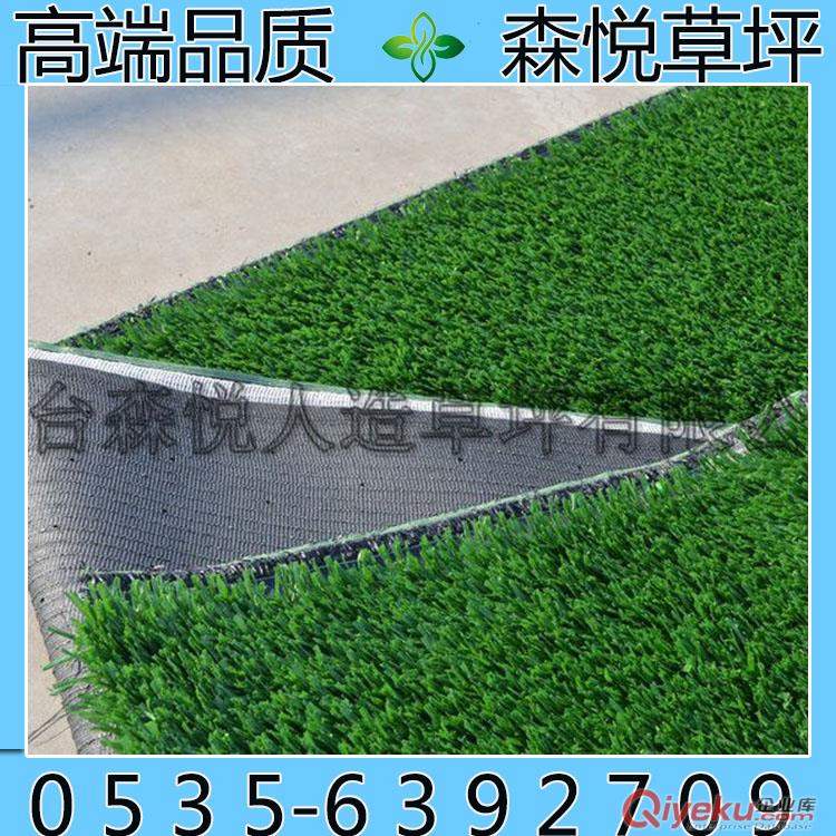 人造草坪山東zm廠家_高專業(yè)足球場濟(jì)南人造草坪原始圖片3