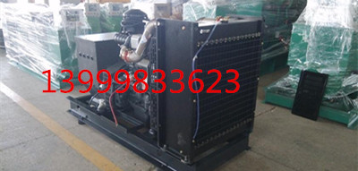 2014年新疆康明斯發(fā)電機(jī)價(jià)格，新疆康明斯發(fā)電機(jī)，新疆發(fā)電機(jī)廠家原始圖片3