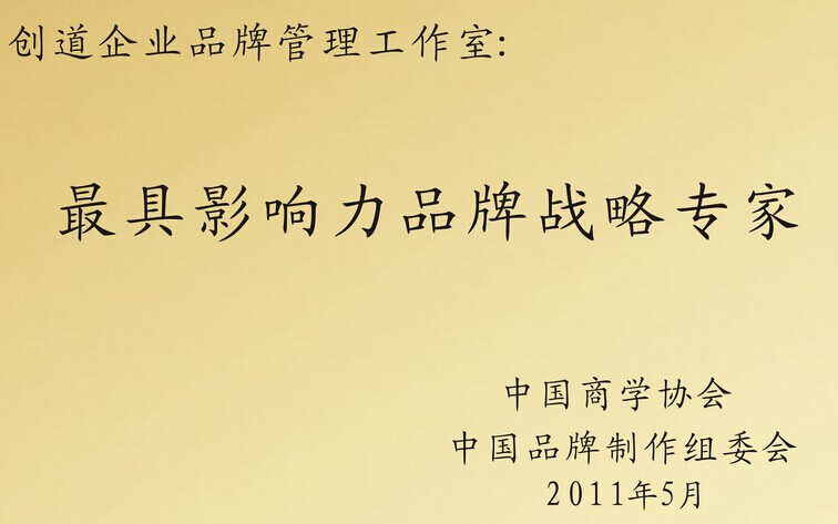 企業(yè)診斷 人力資源管理 財(cái)務(wù)分析 品牌運(yùn)行 CIS導(dǎo)入等等