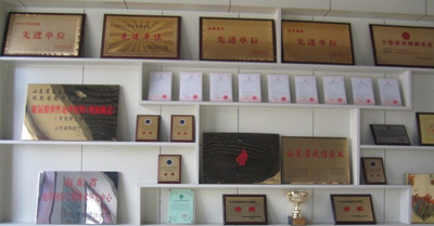 濟(jì)南長(zhǎng)清嚴(yán)格把握產(chǎn)品質(zhì)量的路面灌封膠廠家