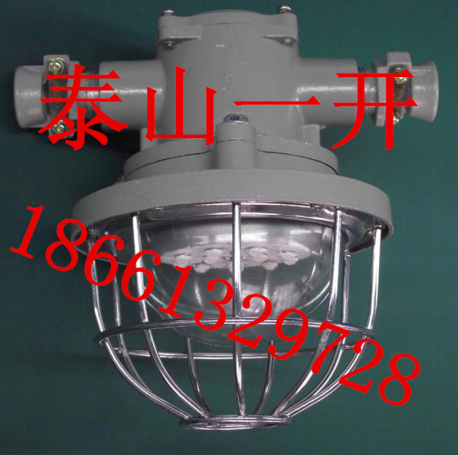  DGS12/127L(B)矿用隔爆型LED巷道灯