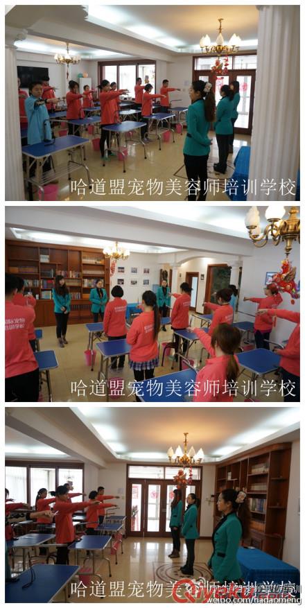 北京寵物學(xué)校哪家好？原始圖片3