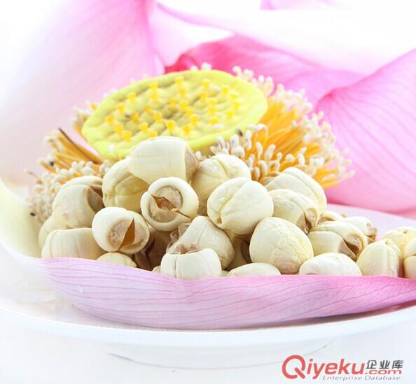 茶樹菇