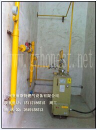 {zd1}價供應(yīng)臺灣HNT100KG液化氣氣化器廠家直銷-電熱式氣化器