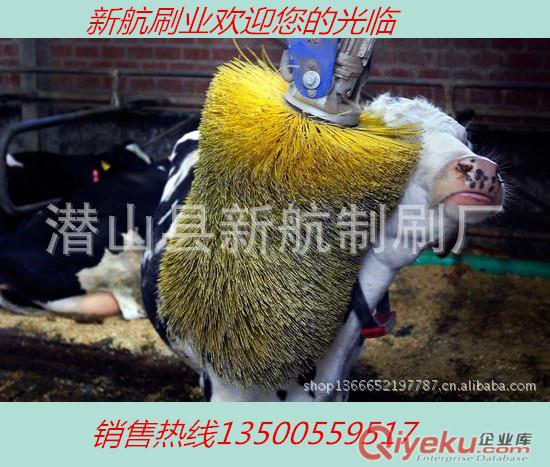 廠家直銷內(nèi)繞彈簧刷 鋼絲刷