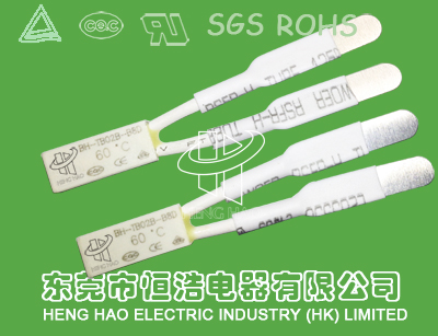 BH-TB02B-B8D溫度開關(guān) 熱保護(hù)器 溫控器 溫控開關(guān)原始圖片2