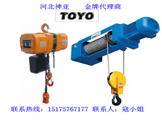 東洋環鏈電動葫蘆_神亞一級代理商原始圖片2