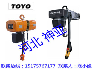 東洋環鏈電動葫蘆_神亞一級代理商