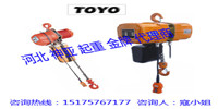 倒掛型TOYO電動葫蘆/懸掛型TOYO電動葫蘆