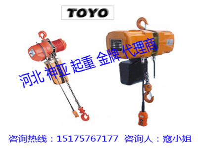 雙速東洋電動(dòng)葫蘆報(bào)價(jià)|雙速TOYO電動(dòng)葫蘆