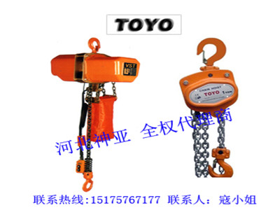   3噸東洋電動葫蘆_TOYO特約代理商  原始圖片2