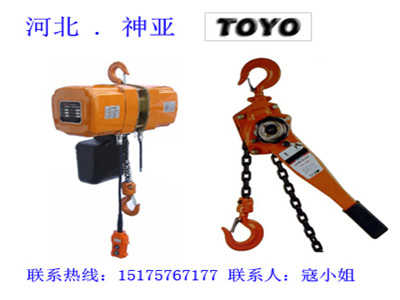   0.5噸東洋電動葫蘆_{gx}率起重設(shè)備