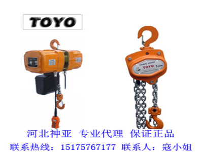 TOYO環鏈電動葫蘆_TOYO組合式電動葫蘆