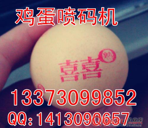 山東全自動往雞蛋上噴碼的設備 雞蛋上打字的機器原始圖片3
