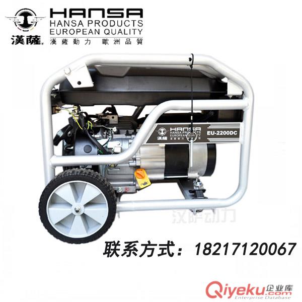 應(yīng)急汽油發(fā)電機原始圖片2