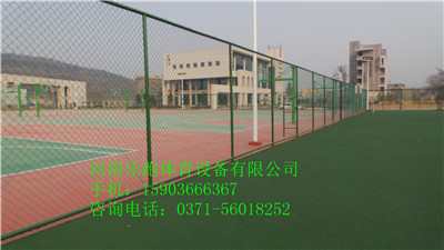 供應(yīng)平頂山優(yōu)質(zhì)塑膠室外網(wǎng)球場(chǎng)（10mm，SJ-13）原始圖片2
