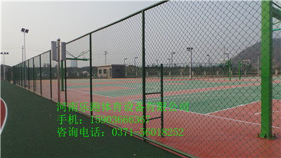 供應(yīng)平頂山優(yōu)質(zhì)塑膠室外網(wǎng)球場(chǎng)（10mm，SJ-13）原始圖片3