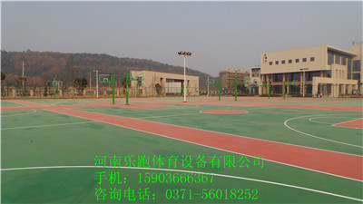 供應許昌優質塑膠室外羽毛球場（10mm，SJ-13）原始圖片2