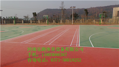供應許昌優質塑膠室外羽毛球場（10mm，SJ-13）原始圖片3