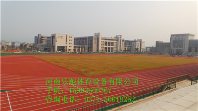 供應開封優質塑膠運動彈性地面10mm，SJ-13原始圖片3