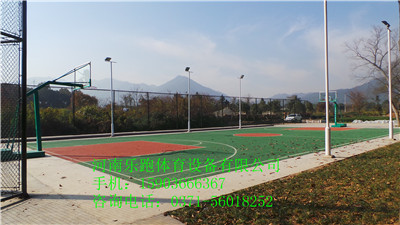 供應濮陽優(yōu)質塑膠運動足球場10mm，SJ-13原始圖片2