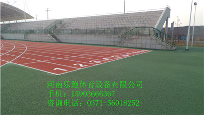 供應(yīng)周口優(yōu)質(zhì)塑膠運動足球場10mm，SJ-13