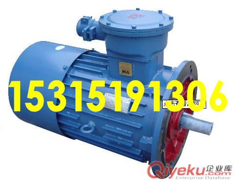 供應(yīng)YBK2煤礦隔爆型三相異步電動(dòng)機(jī)原始圖片2