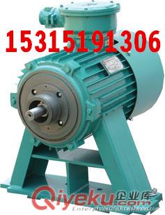供應(yīng)YBK2煤礦隔爆型三相異步電動(dòng)機(jī)