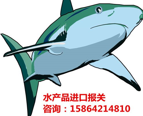 青島進口水產品報關操作流程|手續|資料原始圖片2