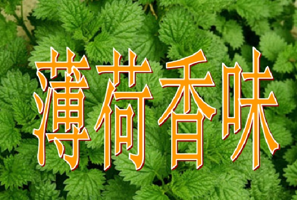 FM-MG玫瑰家紡芳香整理劑香味劑香味微膠囊面料加香劑