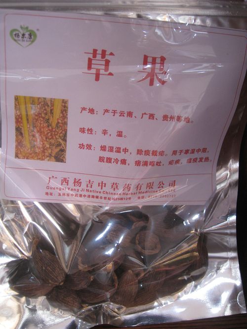 穿心蓮