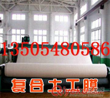 供應人工湖防滲800克兩布一膜0.5mm復合土工膜
