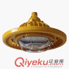 YRL-RFS3617 LED防爆平臺(tái)燈原始圖片2