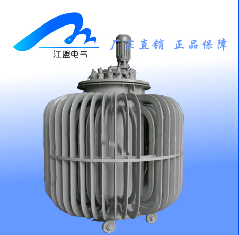 TDGC-2KVA單相接觸式調壓器 液晶調壓器 伺服調壓器原始圖片3