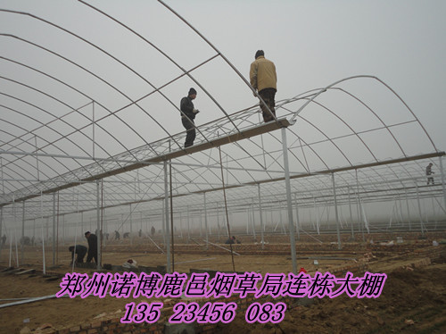 溫室大棚搭建技術(shù)，育苗溫室大棚