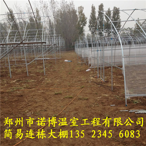 溫室大棚搭建技術(shù)，育苗溫室大棚