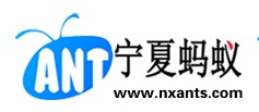 供應銀川專業網站設計