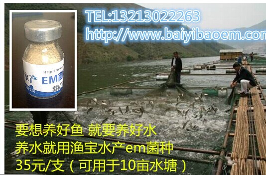 廣東水產養殖氨氮調節劑 廣東魚塘水質調節劑