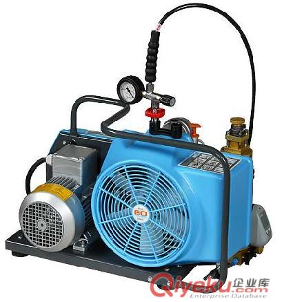 中國市場上品質{zh0}的空氣呼吸器充氣泵