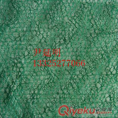 三維土工網(wǎng)墊生產(chǎn)廠家