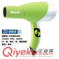 電吹風(fēng),電吹風(fēng)廠家,電吹風(fēng)公司,揭陽(yáng)電吹風(fēng),正迪電吹風(fēng)